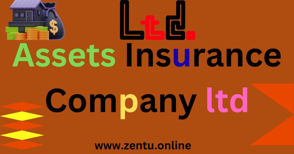 Assets Insurance Company ltd