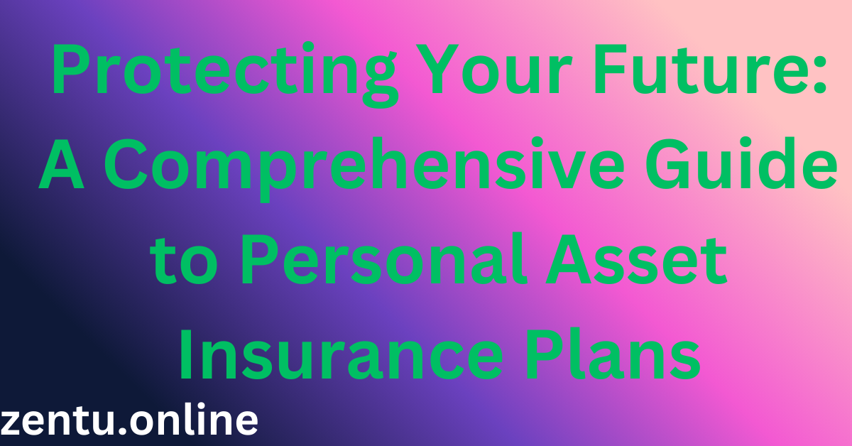 Protecting Your Future: A Comprehensive Guide to Personal Asset Insurance Plans